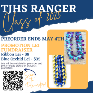  Ribbon and Orchid leis on sale for Promotion